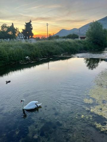 Smjestaj Dada Villa Trebinje Ngoại thất bức ảnh