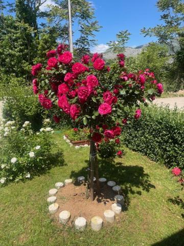 Smjestaj Dada Villa Trebinje Ngoại thất bức ảnh