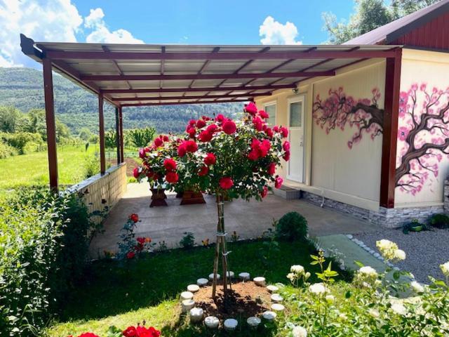 Smjestaj Dada Villa Trebinje Ngoại thất bức ảnh