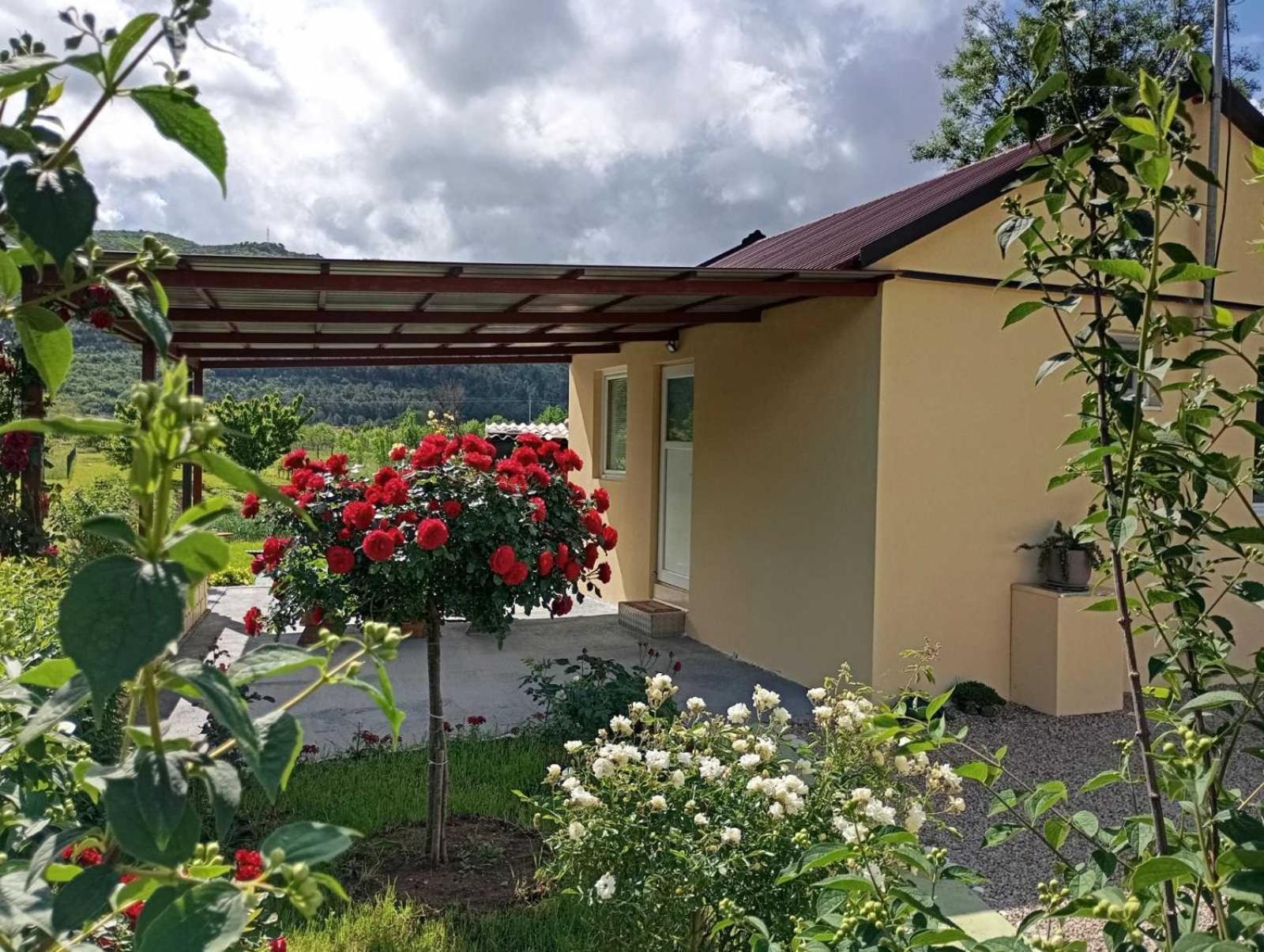 Smjestaj Dada Villa Trebinje Ngoại thất bức ảnh
